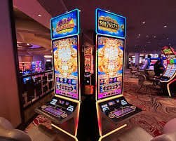 3333 bet app 3333 bet app
