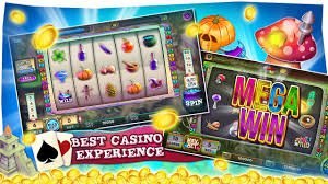 3333 bet app