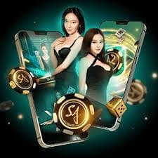 3333 bet app